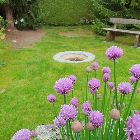 Bed N Bureau Lejlighed *