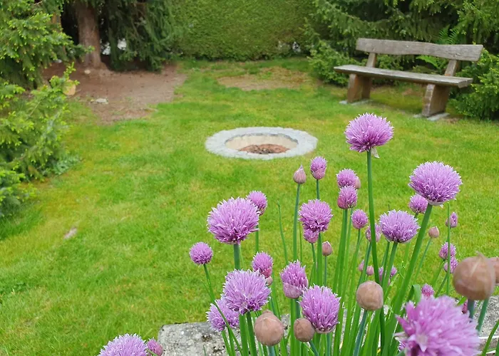 Bed N Bureau Apartment *